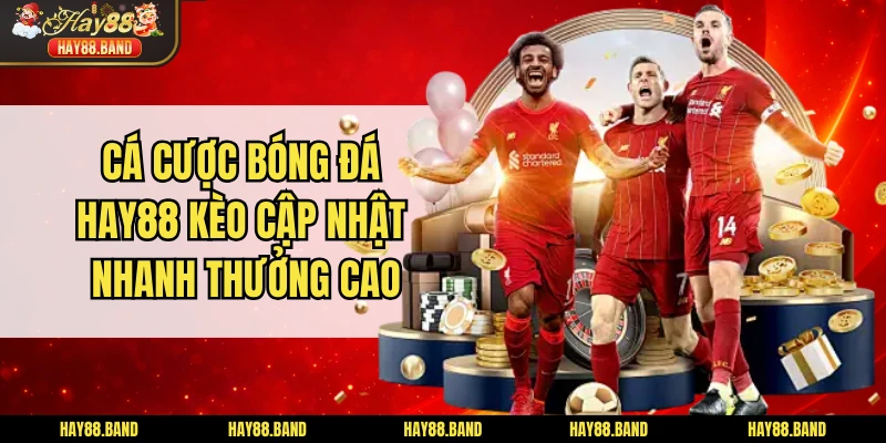 Cá Cược Bóng Đá