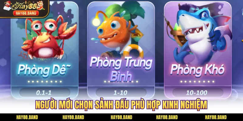 Người mới chọn sảnh đấu phù hợp kinh nghiệm Người mới chọn sảnh đấu phù hợp kinh nghiệm